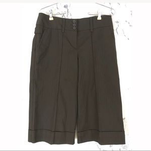 Ann Taylor Loft Capri "Ann" Cropped Size 4
